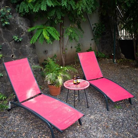 Le Bambou T3 Centre Ville Sainte Clotilde Rez De Jardin Bois de Nefles  Dış mekan fotoğraf