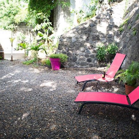 Le Bambou T3 Centre Ville Sainte Clotilde Rez De Jardin Bois de Nefles  Dış mekan fotoğraf